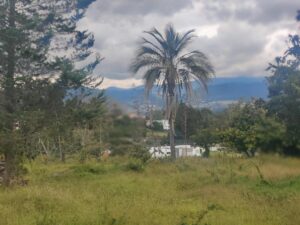 49532127679354426715558928701359107967597521166348019905620342543203847529606 1