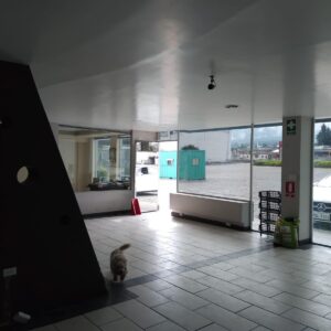 51397386886516908186229527831222309430496464942864895109459483400982802113847