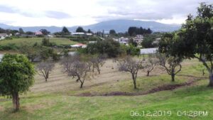 51531529371996047235733758596381210463132902603661643025295175781901673280768