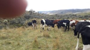 52340558553079878810437702640302926769151545735162797617905211047848457812106