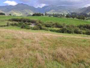 56514404713492772981162049760484613010818641566340713989387072009300066066802