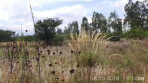 60265514351737449409804647694960417982299957181773846491475578866646122802156