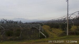 608249400340111148882175092551987789055023164880734584309541677572599131650