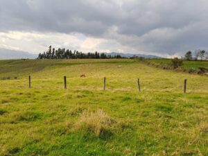 61958659518264127423900543545658579545076398081008938906768114826717482064738