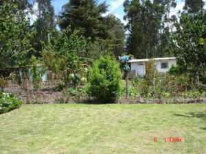 62947080063211259218855989413245402843624880386753652090744339346344509589880