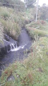 6466580303531746447937989271196643320941998773471593545111744124498880451433