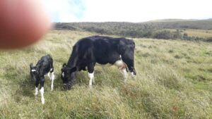 65318023420490971259163703256705849057621373613242499706121894566125259258307