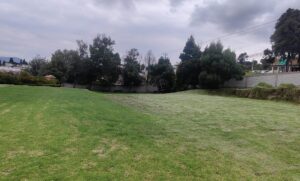 65844862161425259525711706376566284176027642687471093056040117156847435292493