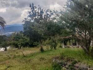 66545788664392876358491166084658419735803904798991173804877825514163047403523 1