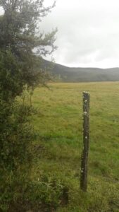 67265795571772402653854454617792840549823492247926061349849796364295491321226