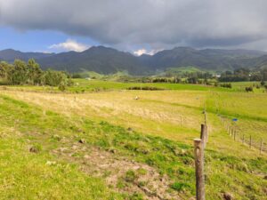 67489530267691141823438686058678561862253100934836066073254658827507603480352