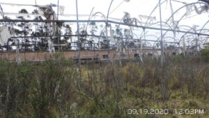 69577476813400562161136831686789616209167187068442149929876308437300420594249