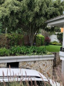 70265588521853884538629852345393299382703331963502357050284738497264129486165