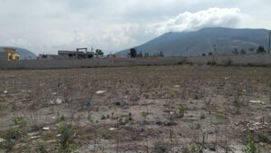 70727969064806054131763994713275029043215046525453208354770993611094558631961