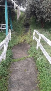 71262706887079063513754178403430253258670179267012699820501263793019798128917