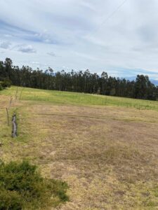 73450025844290380641704920954953504454719909997283812035337852817092139549814