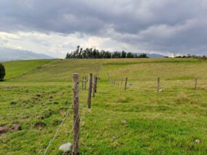 74270749203060470199553228538125976779460706926055245277340149133970066608843