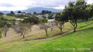 74297816786708099846075735974160483821475962761898487200826338690240113128719