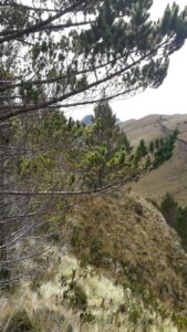 77907733047553629033267384529571857319953865508167968027126487039544618602593