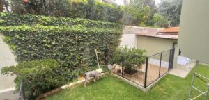 80166264652993939756166712178428119512679463700915679387842724790443686467374