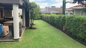 80409331689098718526095207230633025195529029678933237948027075697563081736098