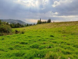 8189690522198717996187346328642896926518510831612764091150613494965858973765