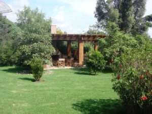 82220024638742237601379361954970672457686830717201870311115274538492600009688 6