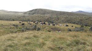 83711522213060769544514553374307468867565983309574685713746211497743899920238