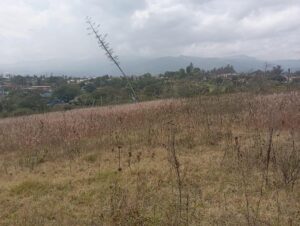 8415863663778455344688994380782371911313520540563952926604495300222443530337