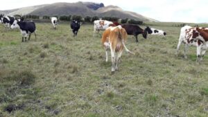 85934650347250432411536218476792582649448110155025679033434762665565310079891