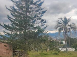 86028469328909309975104203080225928502902344540119676811362725778524243812331 1