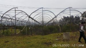 86136053034339274641738239968419222552756122932741237442312795334727723809303