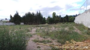 89322592963625292272555826778429955064062280039371237694577871690104332592141