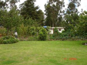 90523624761198251481526337498032566997524349028163578092427573646209783402083