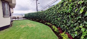 90616528306339443175818561596436752425183903555377739029130170093980701248383