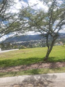 9089285102257945369283072801763288838295986927843181686229888730932493031151