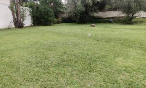 91070078919343271421053553260365693954077562017437888452013381283248900865242