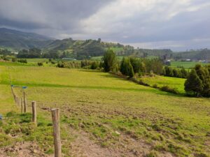 92148076357476817088725579326603476406539934746402291246089977213160977700508