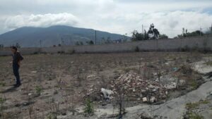 93311967498913552906144375316104399338972802170453518016936952794452705989029