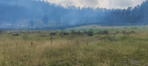 93517265426152078848029704469960748884511716695906733394595051674616575229175