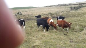 94003295935703996218857253013681689974455749562795353779894842727895841275630