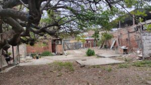 95677382819651427748210834319038136757389554721565285560099678993420112665506