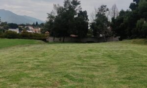 9671431082526921039585044232250910247652139987411315278252044698770213894655