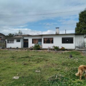 9928733627124833698947250124499878509936169922216654778960204405053663441326