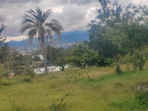 99308461245947741181161023584305912573913652395357140819369824062811959866365 1