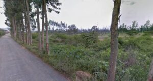 99704837253525282701364357934302892779355870043599098192505997469296198631097