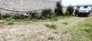 110481609365195175153419397822287069874052767129121182769867376695827065773360