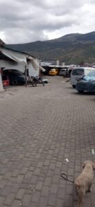 6220261 65330938974092386587263243628177972056938580375772570639328643934893457334633