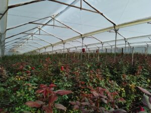 6374224 11559589067504763724048029787246554444767369261867114976299932005967112840070