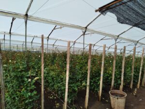 6374224 29296923419786292334184833435059759402614754604242299133946416498980169869887